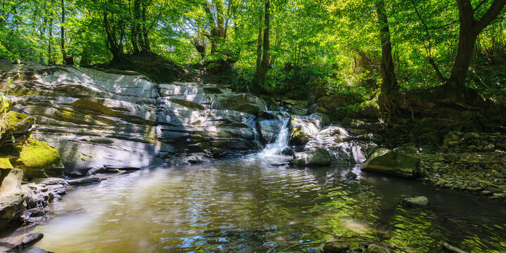 rocks in the creek. peaceful woodland landscape. purity in nature