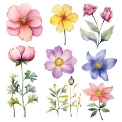 set of watercolor flowers, Generative AI