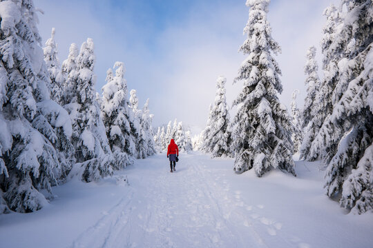 Woman hiker enjoying winter landscape view on snowy mountain. Back of blonde female on the hiking