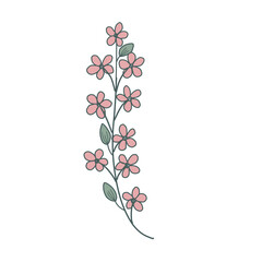 Minimalist Line Art: Hand-Drawn Pink Flower Branch and Leaves for Decorative Purposes on Transparent Background (PNG)