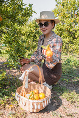 Cute thai girl show an orange in orange farm in Chiang Mai, Thailand.
