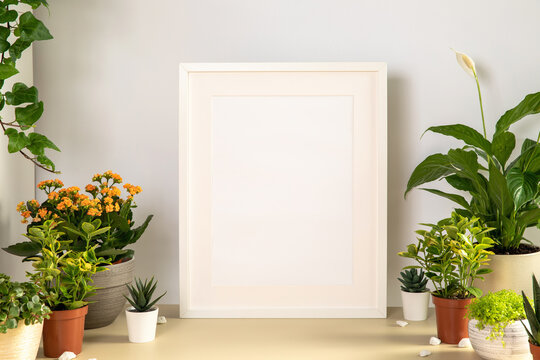  Scene with Interior poster mock up, vertical white wood frame with mat, home green plants on table in room. Interior design of living room. Elegant personal accessories.