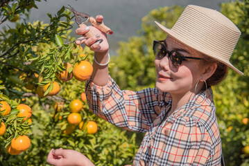 Cute thai girl show an orange in orange farm in Chiang Mai, Thailand.