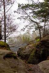 View from Rauenstein mountain in Saxon Switzerland. Germany. Europe