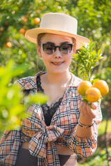 Happy Cute thai girl showing an oranges in orange basket in orange farm in Chiang Mai, Thailand. Focus on the girl face.