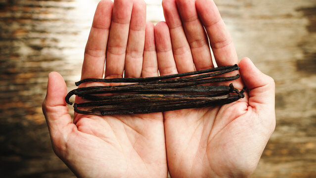 Holding Pods Of Vanilla. Top View
