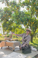 Happy Cute thai girl with orange basket sitting under orange tree in orange farm in Chiang Mai, Thailand.