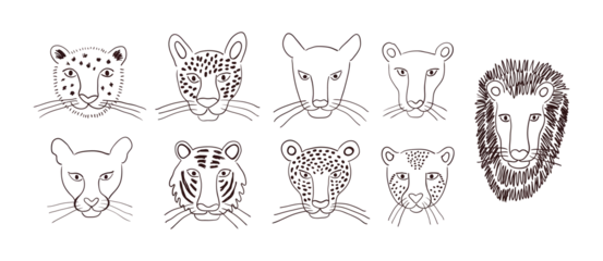 Abwaschbare Fototapete Abbildungen Big cats faces isolated collection, outline. Lion, tiger, leopard, jaguar, panther, cougar, cheetah. Hand drawn vector illustration. Line art style design. Animal characters, wildlife clipart elements