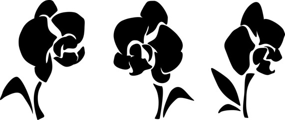 Fototapeta premium Orchid flowers. Black silhouettes of orchid flowers isolated on a white background. Set of vector illustrations