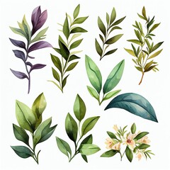 green plants set, watercolor style Generative AI