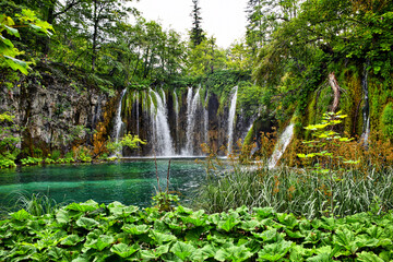 Scenic view of Plitvice lakes with waterfalls surrounded by dense green trees in Croatia