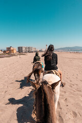 Vertical back view of people riding horses at the beach of La Serena, Chile