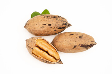Pecan nuts isolated on the white background