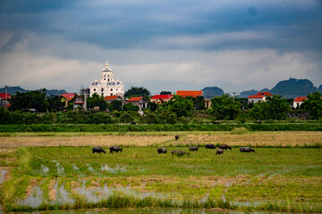 Vietnam Landscapes