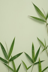 Minimal flat lay of green bamboo leaves decorated on green background. Advertising scene with copy space for cosmetic product presentation. Top view, creative background