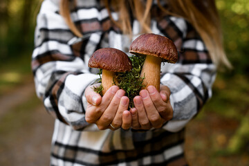 Young girl holds in her hands two large fragrant porcini mushrooms