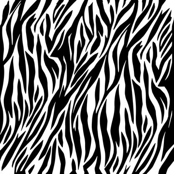 zebra, tiger, animal, pattern, head, wild, skin, cat, fur, vector, texture, black, tattoo, nature, design, illustration, mammal, wildlife, striped, print, face, lion, safari, feline, zoo
