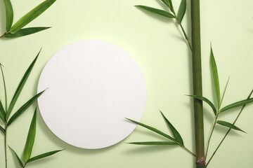 Natural cosmetic concept with bamboo tree and green leaves decorated around an empty white round...