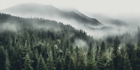 AI Generated. AI Generative. Photo realistic illustration of mountains forest fog morning mystic. Graphic Art
