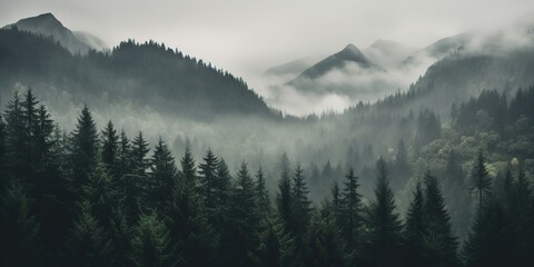 AI Generated. AI Generative. Photo realistic illustration of mountains forest fog morning mystic. Graphic Art