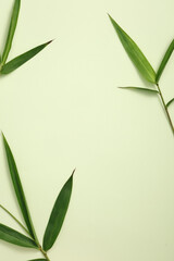 Against a pastel background, several green bamboo leaves are decorated. Blank space for skin care product promotion of activated bamboo charcoal extract