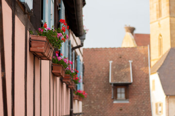 Fototapeta na wymiar France. Beautiful French village in Alsace. Colorful wooden building facades with windows. Traditional old architecture. Sunny summer day.