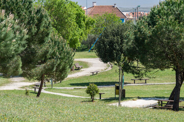Scenic view of path amid the green park with wooden benches surrounded by trees in Loures, Portugal