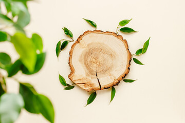 Empty wooden podium with green plant leaves on beige background top view. Podium for natural eco...