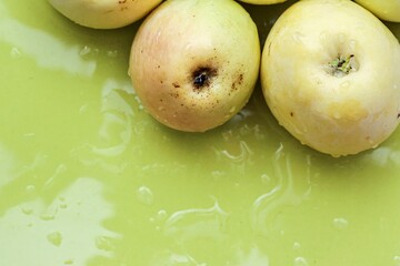 Top view of green apples of pero bravo esmolfe species washed with fresh water on a green plate - obrazy, fototapety, plakaty