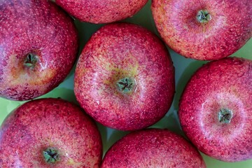 Top view of red apples of pero bravo esmolfe species washed with fresh water on a green plate - obrazy, fototapety, plakaty