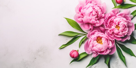 Beautiful pink peony flowers on stone background. Copy space, top view, flat lay. Generative AI.