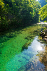 Fototapeta premium Narrow wooden footbridge in the misty Vintgar gorge. Beautiful scenery with mountain river in the deep gorge, Bled, Slovenia, Europe