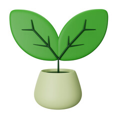 3d icon plant isolated on transparent background