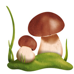 Delicate forest composition: a pair of porcini mushrooms surrounded by green fresh grass in a clearing. Isolated watercolor illustration - textbook, manual, tutorial, guidebook, workbook, exercise
