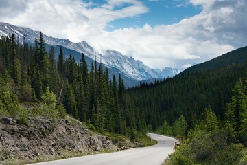 Empty road the surrounded by the dense forest and snowy mountains in Jasper National Park