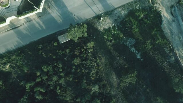 Top down view of the woodland area in Pinhal General, Fernao Ferro