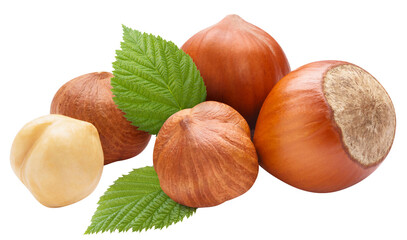 Delicious hazelnuts, cut out