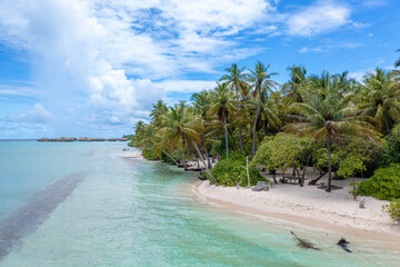Fototapeta na wymiar Palmen am Strand einer unbewohnten Insel auf den Malediven