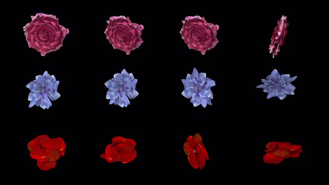 NATURE ELEMENT Flowers ABC withAlpha. Looping elements that can be isolated as sprites to use as textures with an alpha channel.