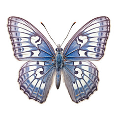 Karner blue butterfly -  Plebejus melissa samuelis 2. Transparent PNG. Generative AI