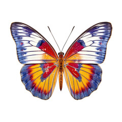 Painted jezebel butterfly -  Delias hyparete. Transparent PNG. Generative AI
