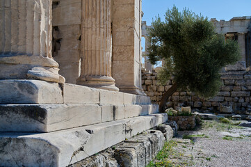 Stone stairs and part of the Parthenon building with columns against a blue sky in Greece. Olive...