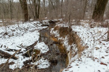 River in forest covered by snow during winter