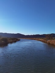 Vertical shot of a river in autumn