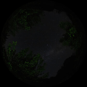 Night starry sky and milky way shot through a panorama fisheye circular lens