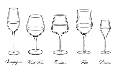 Set of wine glasses hand drawn vector illustration 