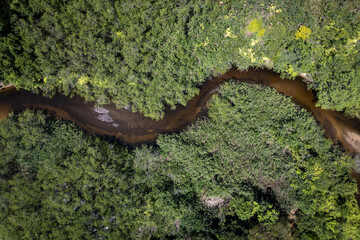 Aerial drone view of beautiful river and forest trees of mata atlantica biome in sunny summer day. Paraty, Rio de Janeiro, Brazil. Concept of environment, nature, ecology, vacations, travel, tourism.
