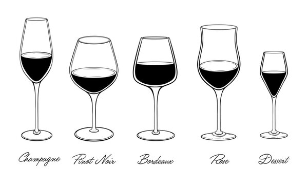 Set of wine glasses hand drawn vector illustration 