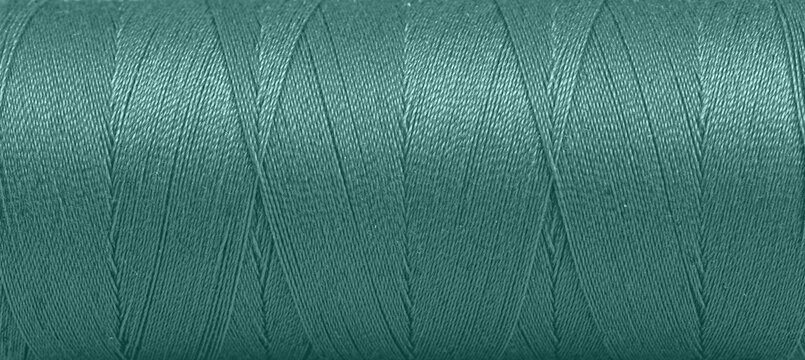 Texture of threads in a spool of green color on a white background