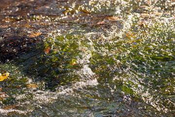 flow of water and spray from a stone